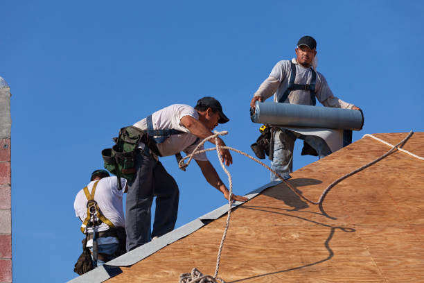 Best Roof Maintenance Services  in Yale, MI