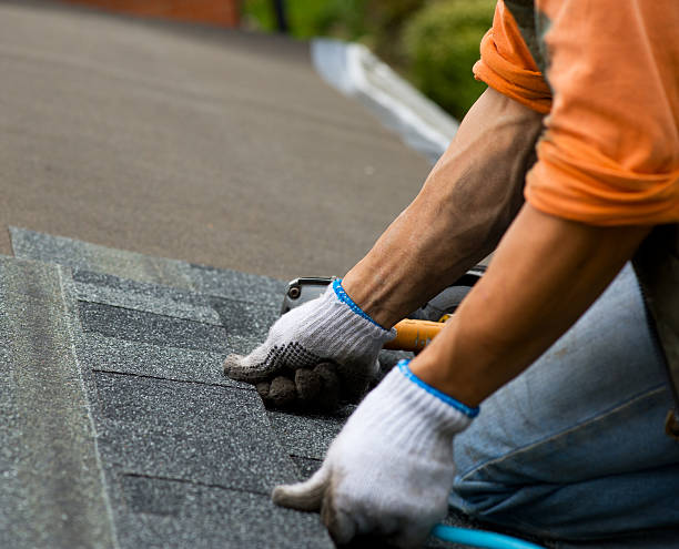 Best New Roof Installation  in Yale, MI