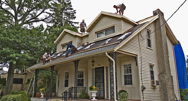 Best Metal Roofing Contractor  in Yale, MI