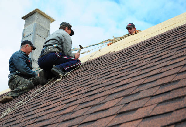 Best Shingle Roofing Installation  in Yale, MI
